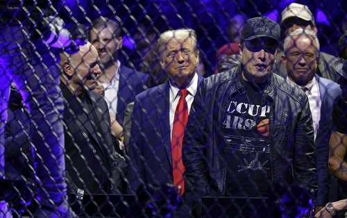 La Jornada: Bajo la lupa