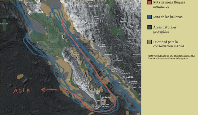 Megaproyecto Saguaro; una amenaza contra la biodiversidad del Golfo de California