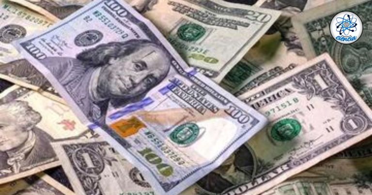 Precio del dólar jueves 14 de noviembre de 2024 ¿Cómo amaneció el tipo de cambio en México?