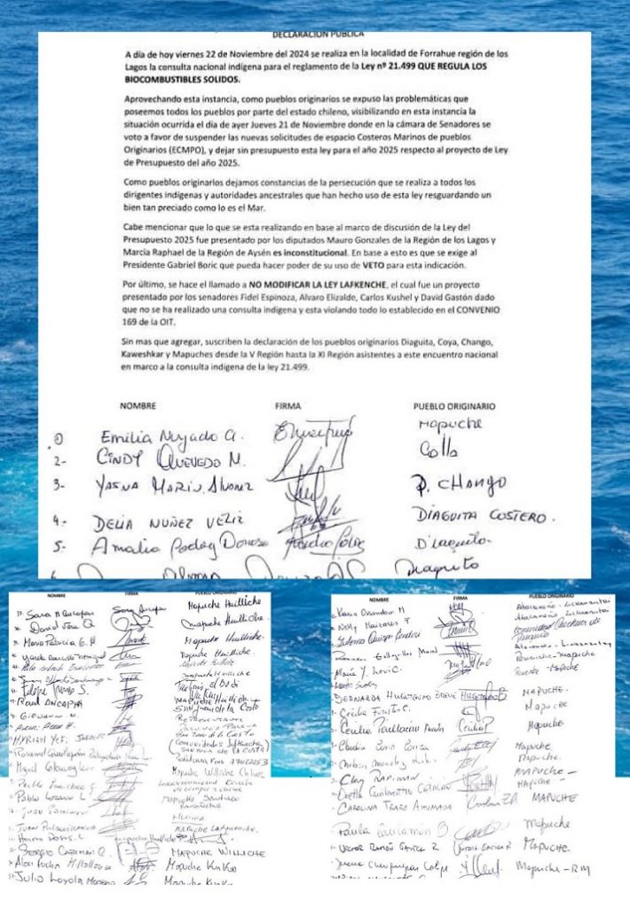 Pueblos Originarios de Chile exigen que se declare inconstitucional indicación contra Ley Lafkenche
