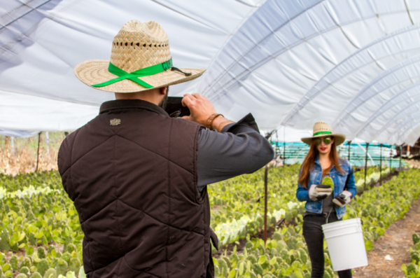 Recorre el Circuito del Nopal en Guanajuato