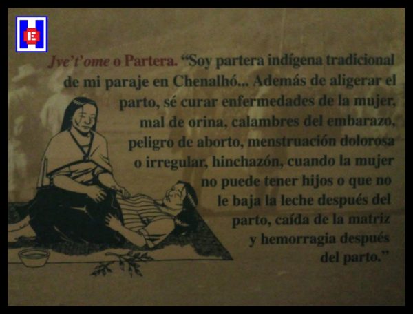 Recorrido al Mictlán: una forma de honrar a nuestros muertos desde la resistencia cultural y comunitaria
