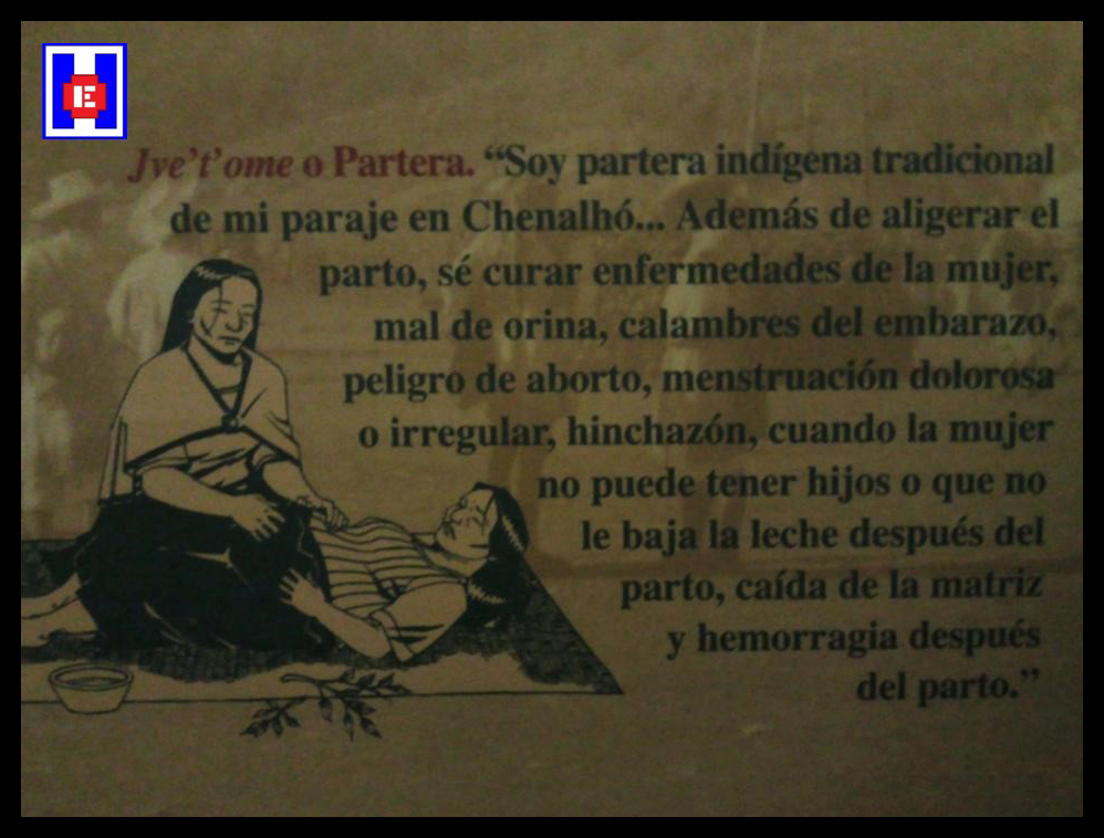 Recorrido al Mictlán: una forma de honrar a nuestros muertos desde la resistencia cultural y comunitaria