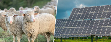 Una tribu de Indonesia ha conseguido preservar su lengua de forma fascinante. La “escondió” en el alfabeto de Corea
