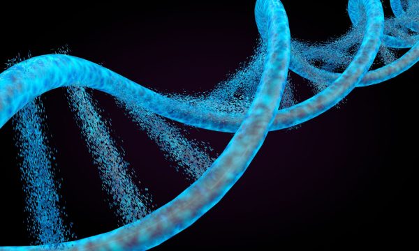 ADN sintético: entre la identidad humana y los dilemas éticos del futuro