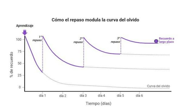 Consejos prácticos para recuperar la capacidad de concentración