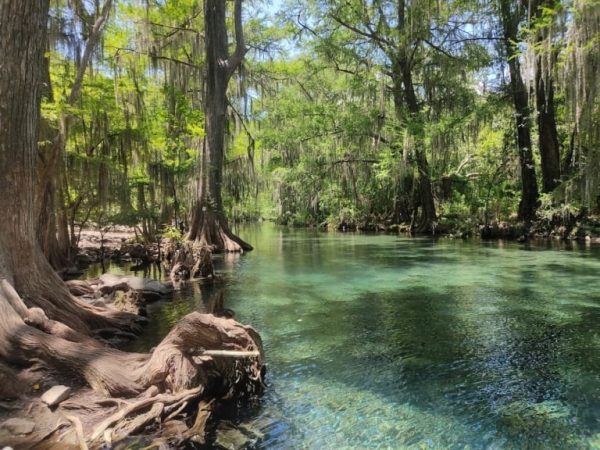 El Salto del Tigre, un retiro natural en el corazón de Tamaulipas