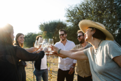 Ineffable, el viñedo ecológico y circular que cambia el paisaje en San Miguel de Allende