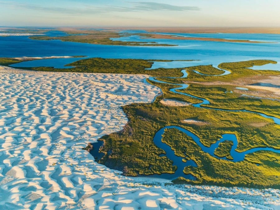 Isla Magdalena, manglar, desierto y mar en el mismo destino