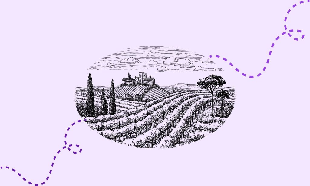 Mujeres rurales que cultivan el cambio