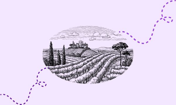 Mujeres rurales que cultivan el cambio