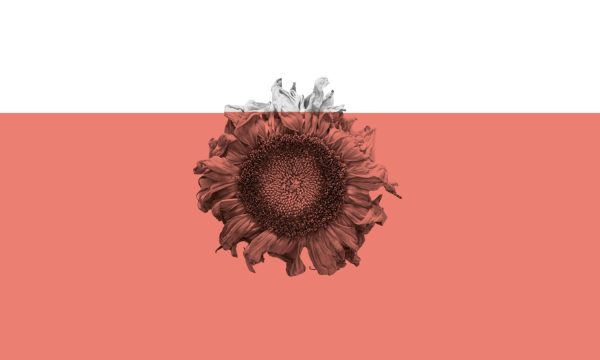 Podrías hacer de esto algo bonito