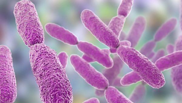 Salud informa brote de Infección por Klebsiella oxytoca en 4 unidades en Edomex