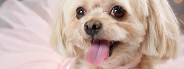 Si la pregunta es si OpenAI puede guardar y revisar nuestras llamadas y mensajes de 1-800-ChatGPT, la respuesta es sí (pero)