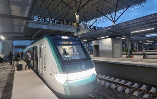 Trabajos del Tren Maya no dañan la fauna silvestre, asegura Semarnat