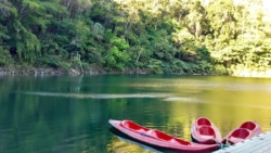 Cenotes de Miguel Colorado, una maravilla en Campeche poco conocida