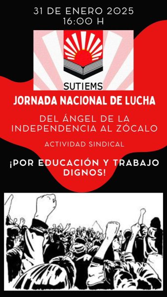 Con Festival en el Zócalo exigen a Sheinbaum que proteja a las ballenas