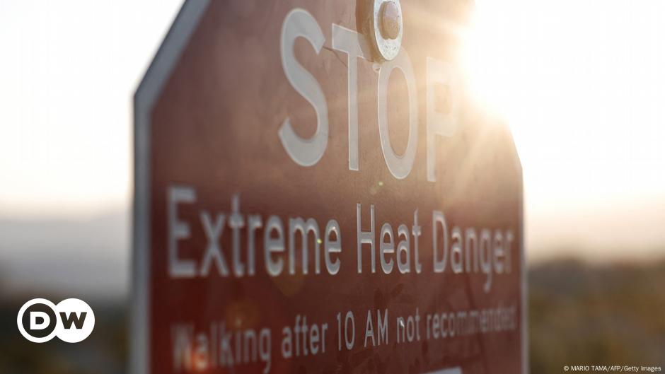 Copernicus: temperatura media del planeta subió más de 1,5ºC