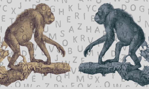 El lenguaje de los monos