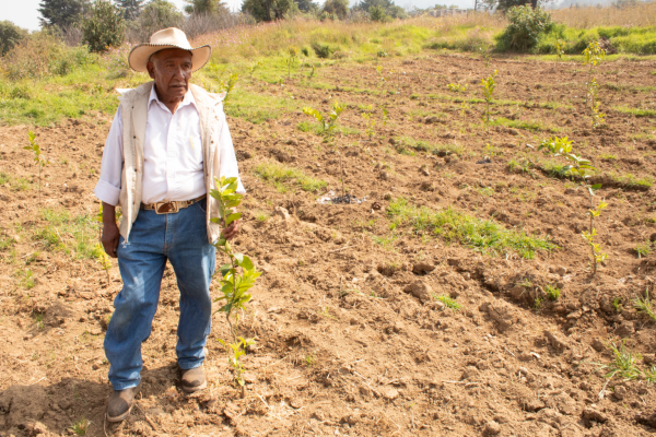 En Xochimilco, cambio climático ya afecta fertilidad del suelo