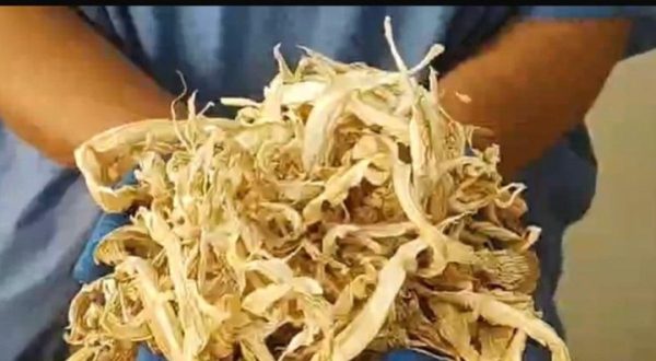 Mujeres transforman crisis en oportunidades en Tláhuac