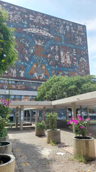 Nadia López García: la aclamada poeta mixteca de México