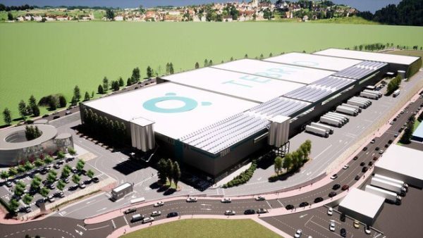 Salamanca está construyendo la mayor granja del mundo en un segmento muy especial: gusanos de la harina