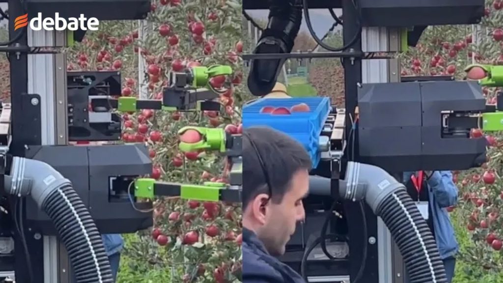 A ver cuánto les duran: aparecen robots cosechando el campo en EU