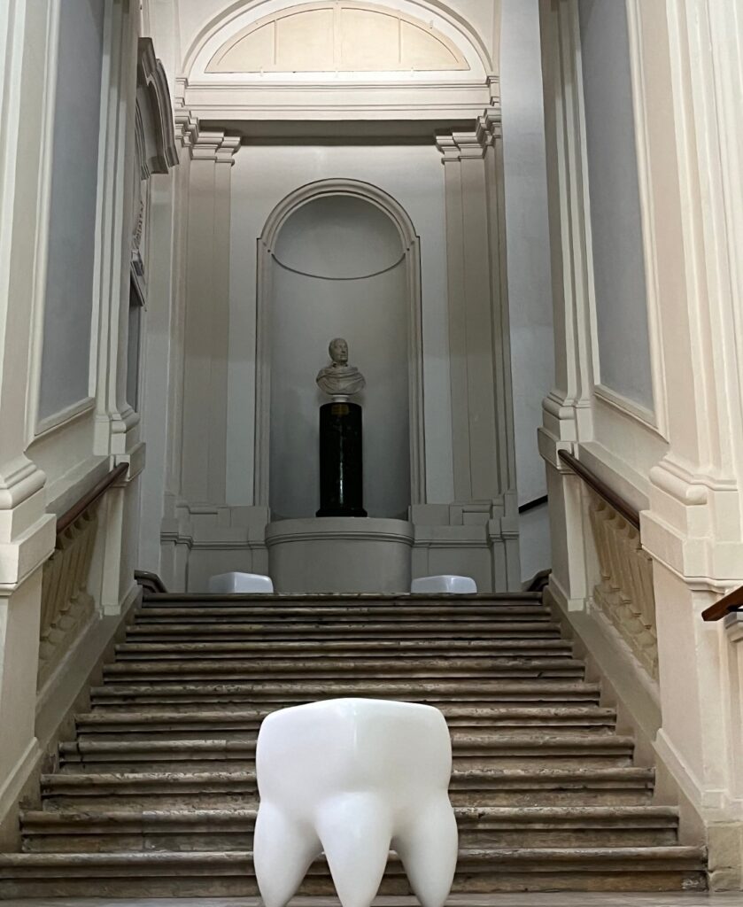 DOT.DAYNIGHT, WARP y Cinestesia Studio presentan a la banda Diles Que No Me Maten con una performance sensorial exclusivo