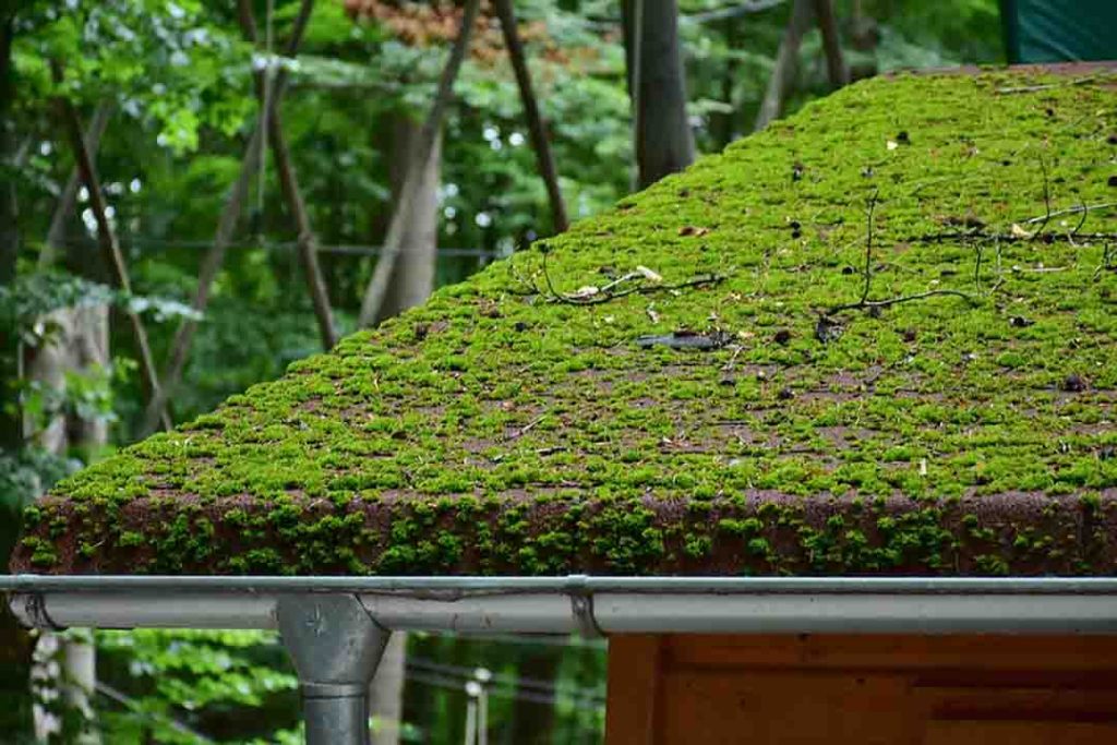 El techo verde con cisterna ofrece la posibilidad de reutilizar el agua de lluvia