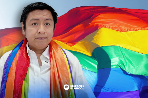 Homofobia legislativa vulnera derechos de la comunidad LGBTQ+ - Elefante Blanco