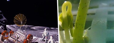 La ESA ha dado un paso histórico para acceder a la Luna de forma autónoma: Argonaut, el primer módulo lunar europeo