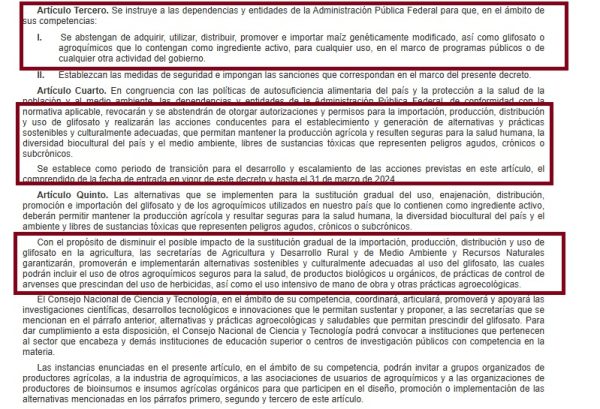México acata fallo del T-MEC y deja sin efecto restricciones al maíz transgénico para consumo humano