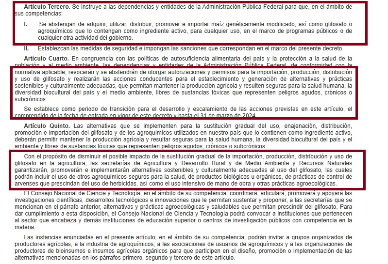 México acata fallo del T-MEC y deja sin efecto restricciones al maíz transgénico para consumo humano