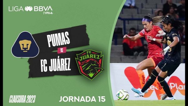 Priscila vs Marcelo Frigério, ¿por qué hubo pleito en el Pumas vs América femenil?