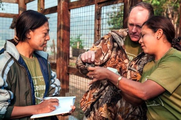 Reaparece tortuga de cara sonriente que se creía extinta desde hace casi 20 años