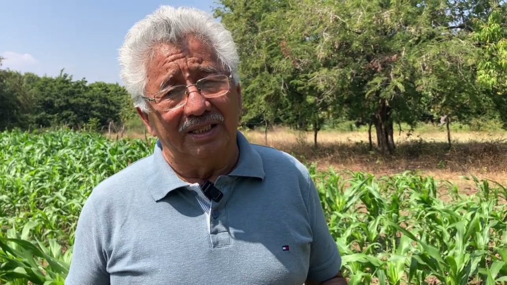 “Sin zapalote chico, no hay vida”