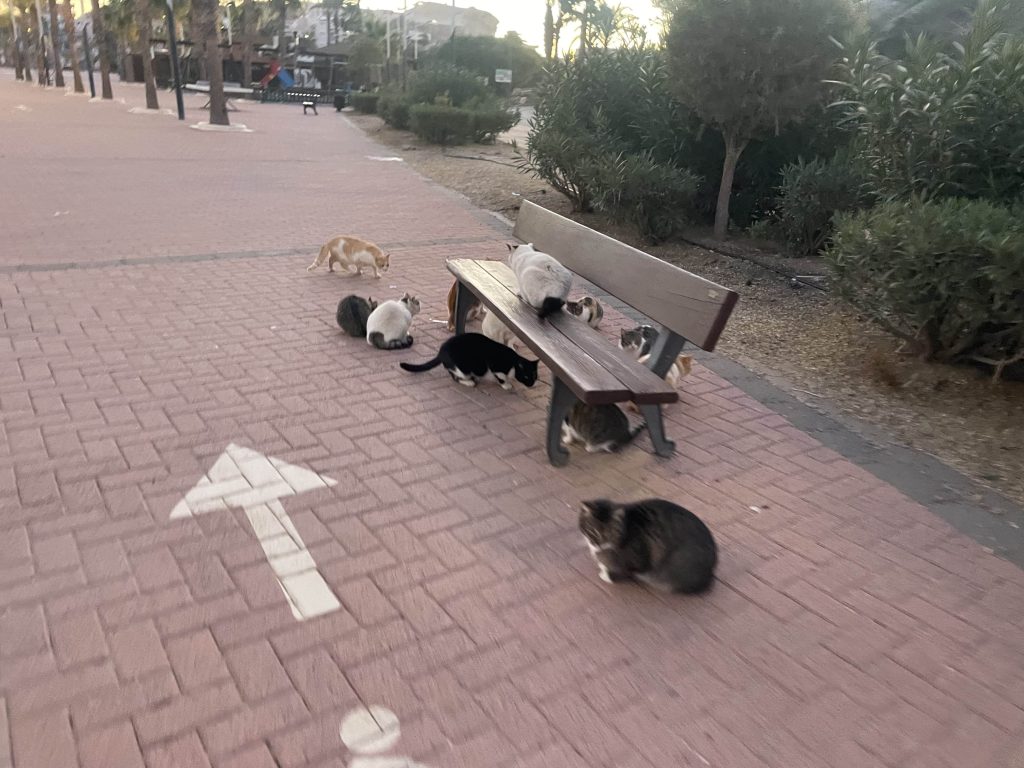 Bastante paraíso VIII / El círculo de confianza