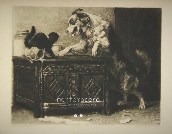 Divagación sobre los gatos