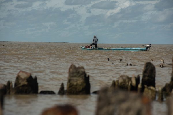 El Golfo de México no es solo petróleo