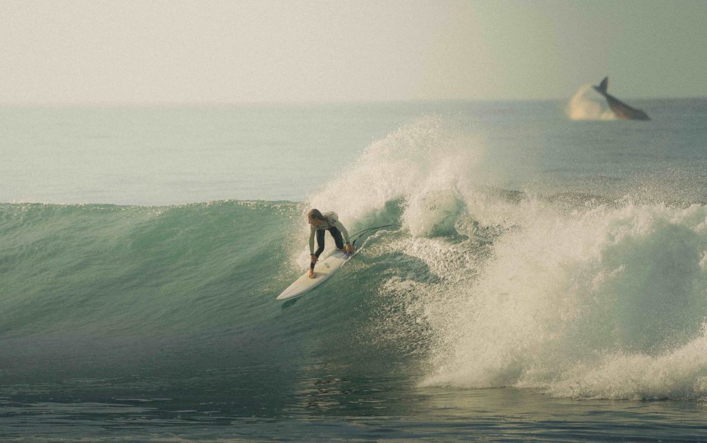 El paraíso del surf que pocos han descubierto está en Baja California Sur