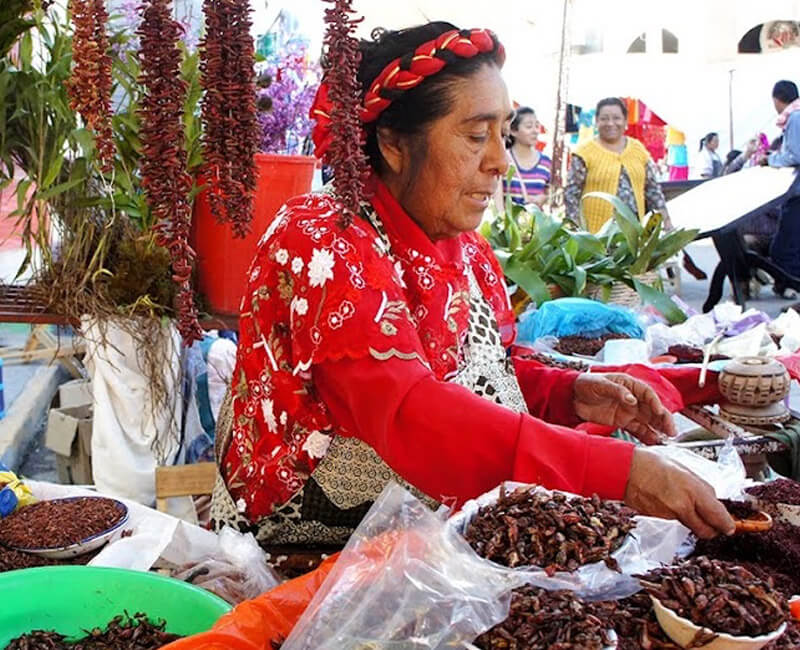 El plátano machuco, la comida  oaxaqueña de llanos cercanos al mar 