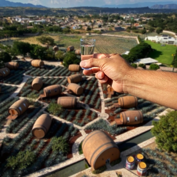 Elige la Mejor ruta gastronómica de México