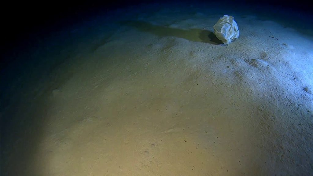 Equipo español descubre que la basura marina ya ha llegado al punto más profundo del mar Mediterráneo: “Ni un solo centímetro está limpio”