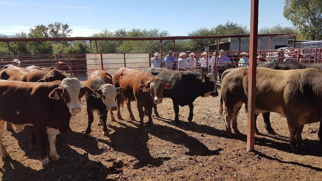 Espera UGRS no entren en vigor aranceles recíprocos el 2 de abril