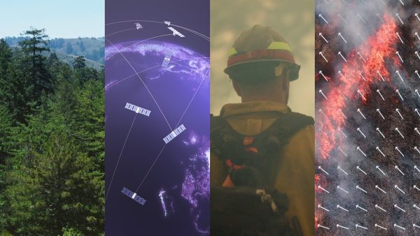 Google pone en órbita el primer satélite de una constelación diseñada específicamente para localizar incendios forestales de forma temprana y precisa en cualquier lugar del planeta