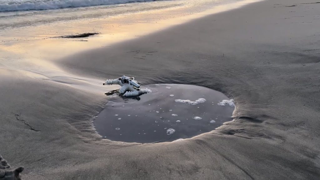 Investigadores de la Universidad de California diseñan robots impresos en 3D que caminan sin electrónica ni ensamblaje complejo y coste de $20