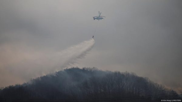 Los incendios forestales de Corea del Sur se reavivan