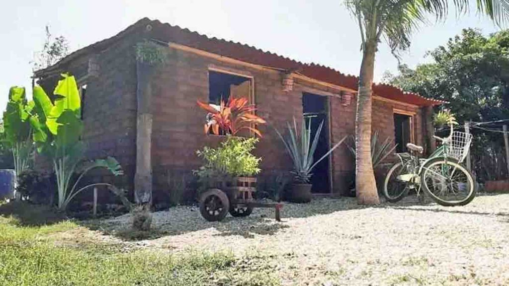 Mexicano transforma algas en ladrillos y construye casas para familias pobres