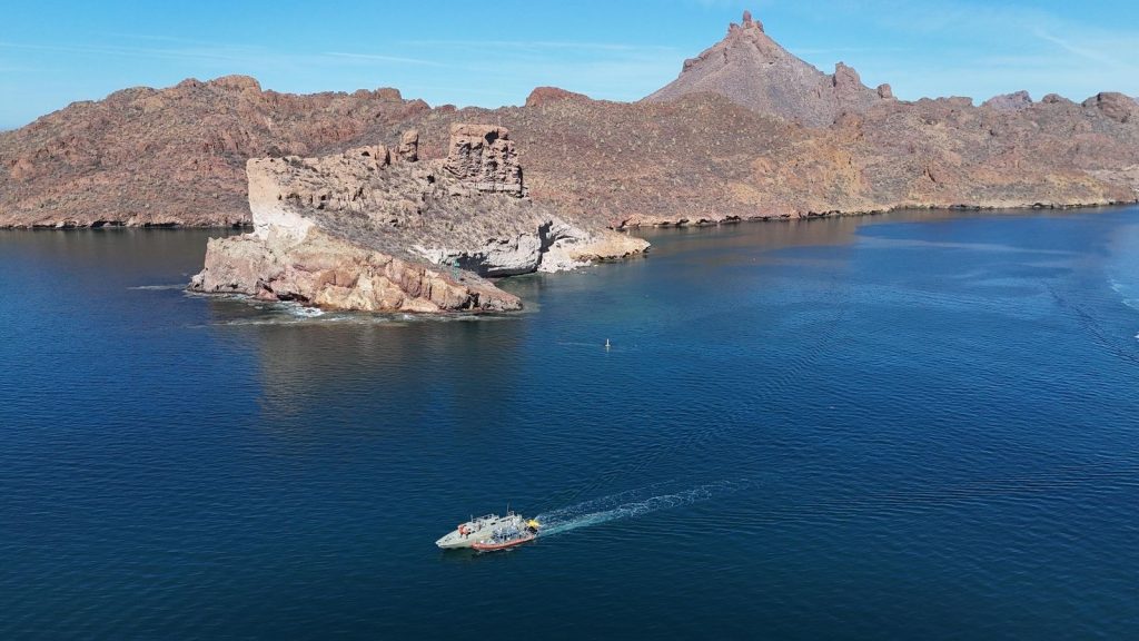 Se reafirma compromiso en la conservación de la vida marina con hundimiento de buque